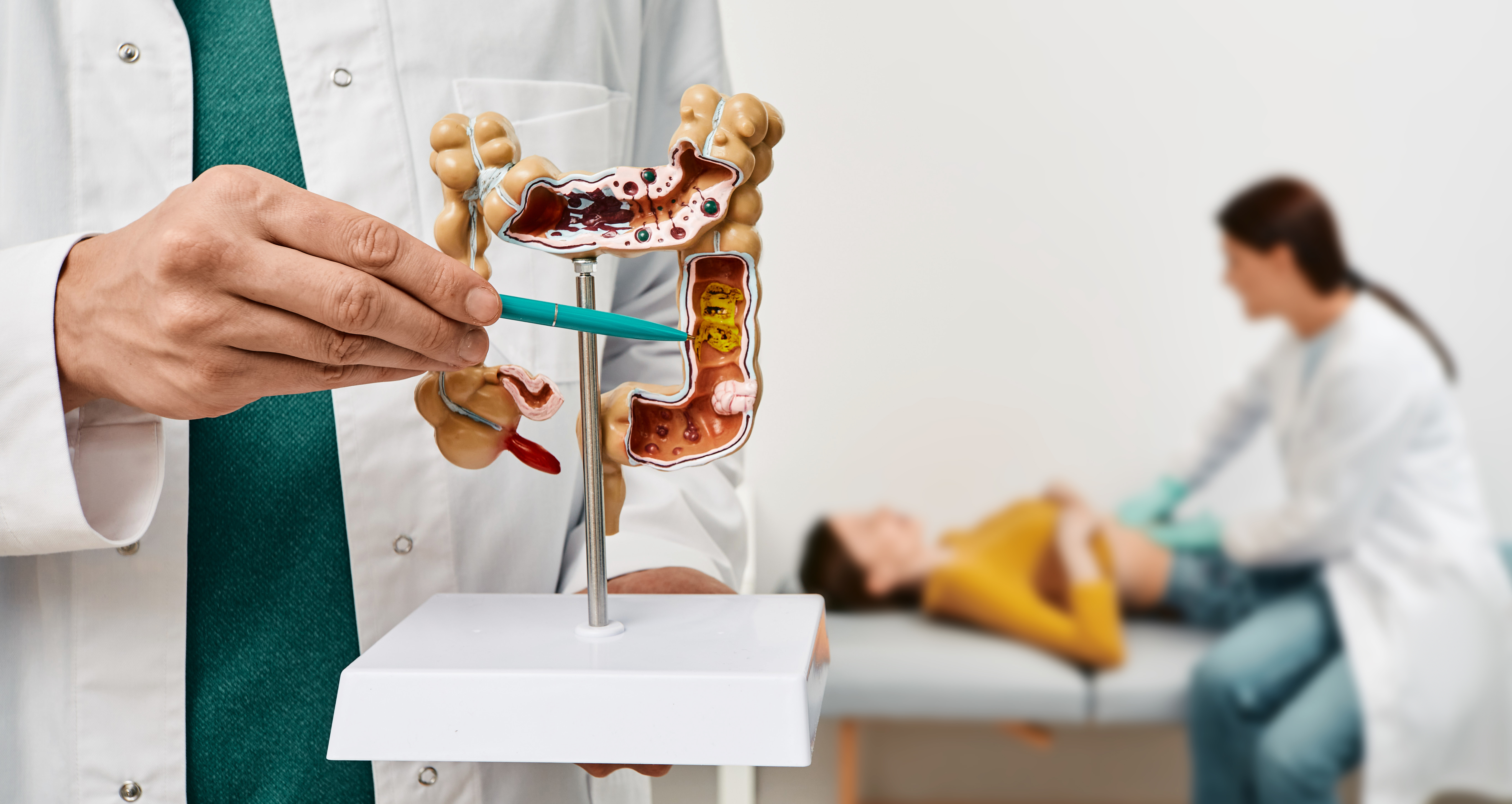 Les vers intestinaux