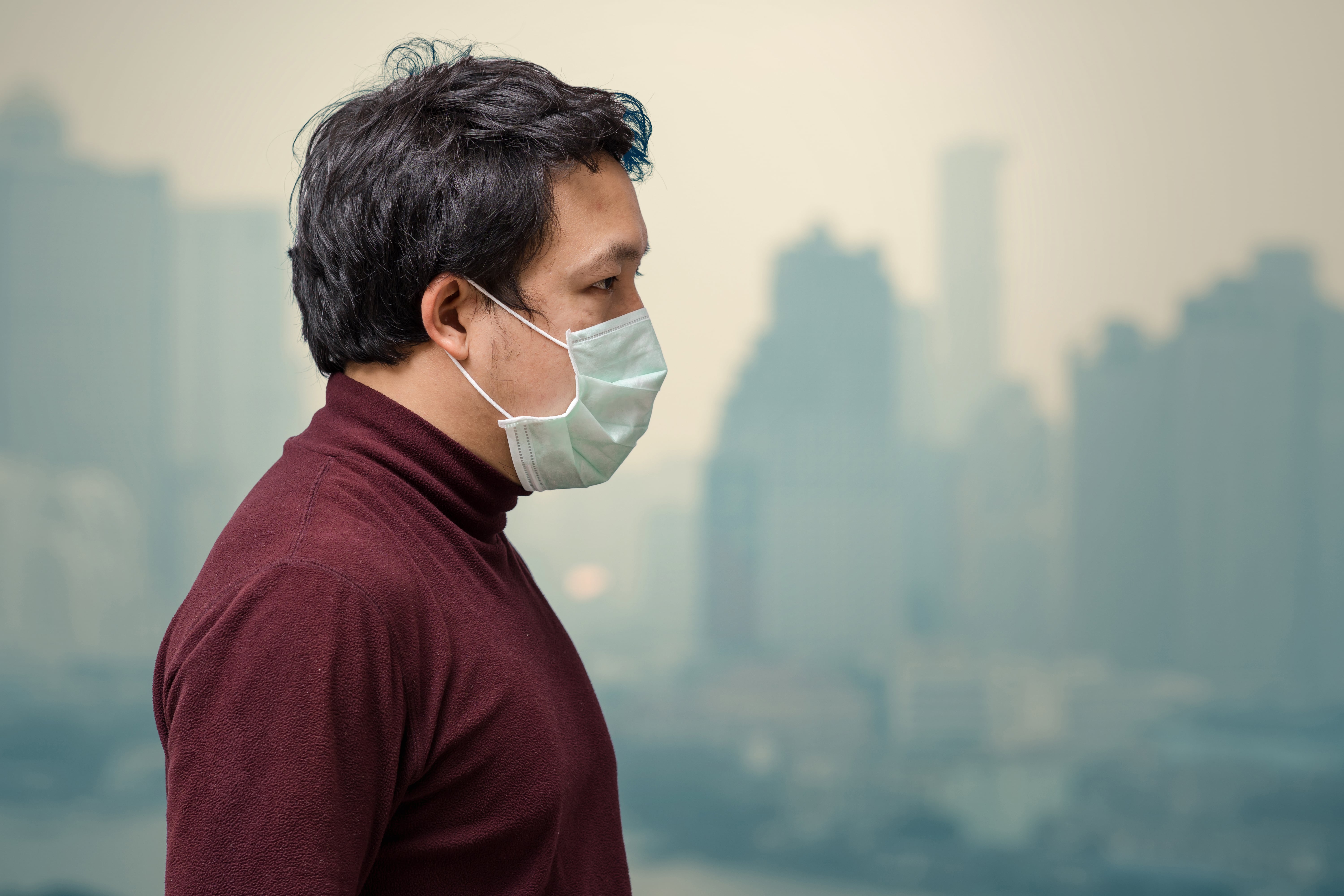 Maladies pulmonaires chroniques liées à la pollution