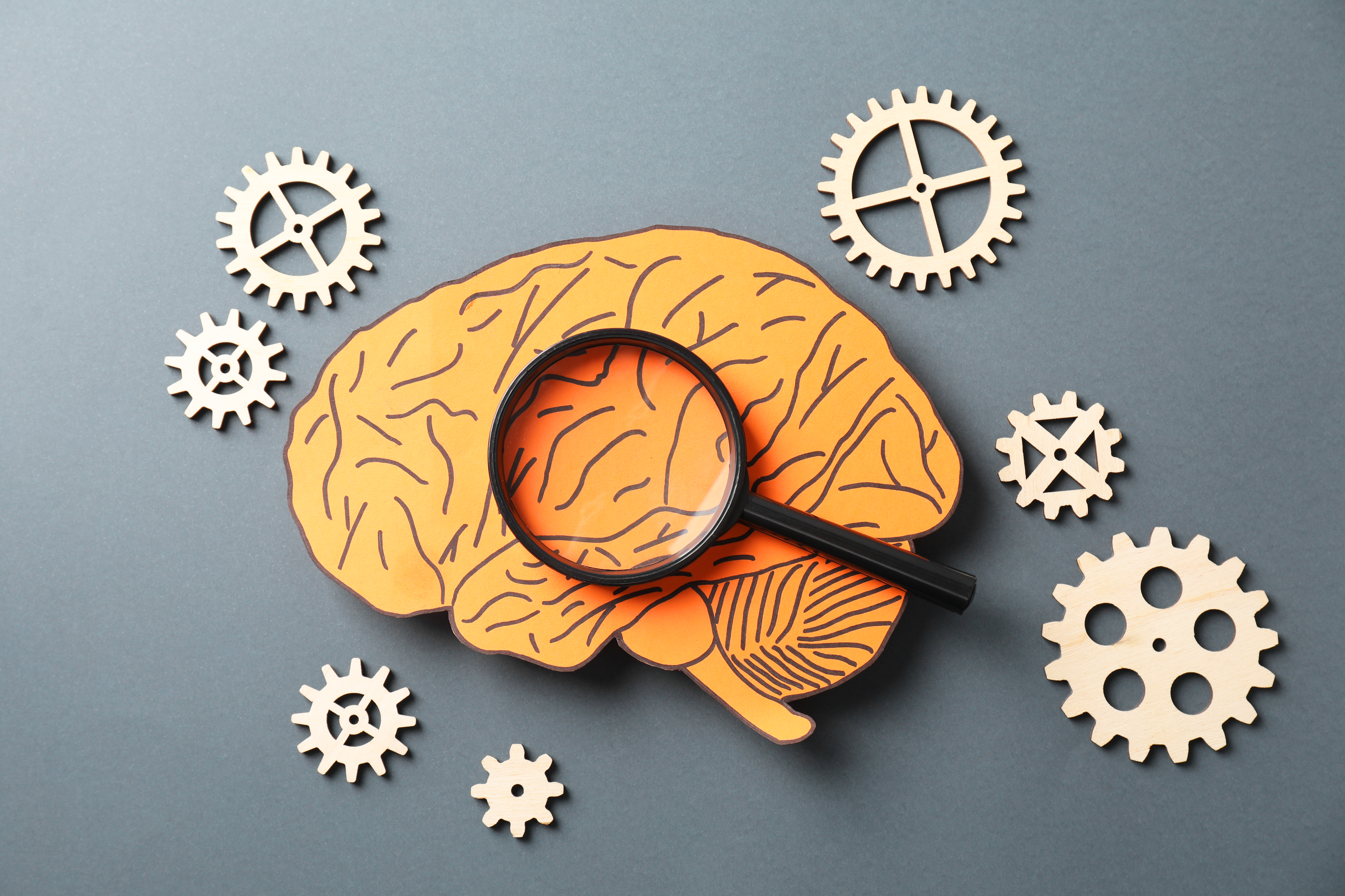 Comment fonctionne notre cerveau en situation de stress ?